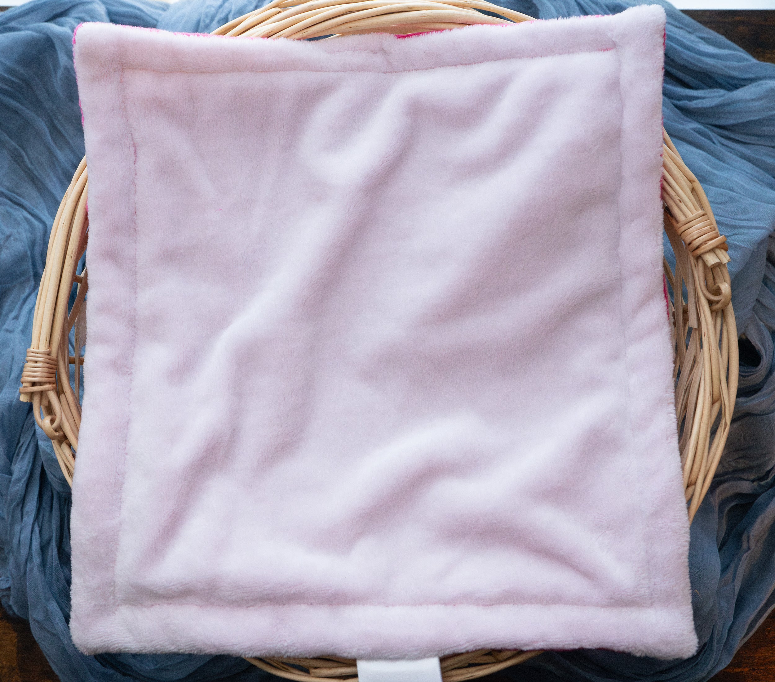 Minky Lovey | Rosie